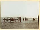 Marine Terrace sands donkeys ca 1900[Photo]